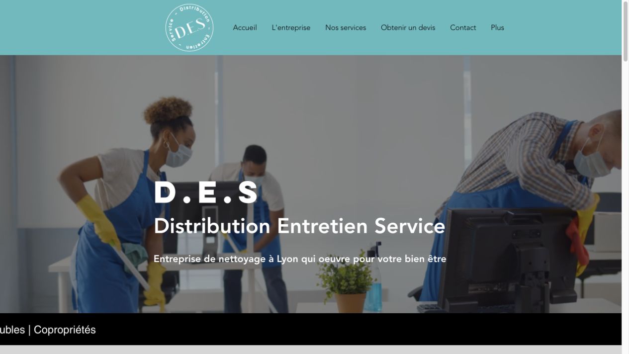 Capture du site de D.E.S. Nettoyages