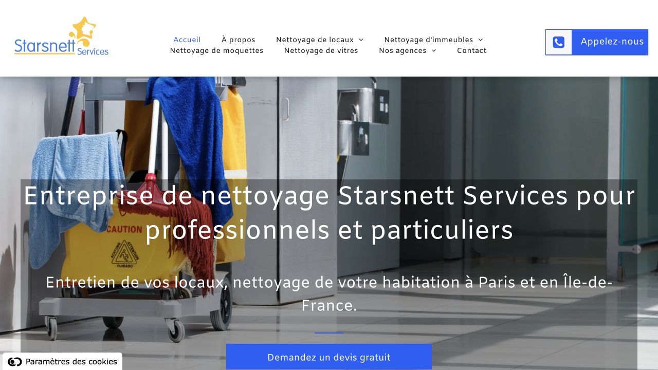 Capture du site de Starsnett Services